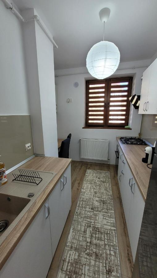 Andy Apartament Petroşani Exteriör bild